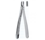 Extracting Forceps